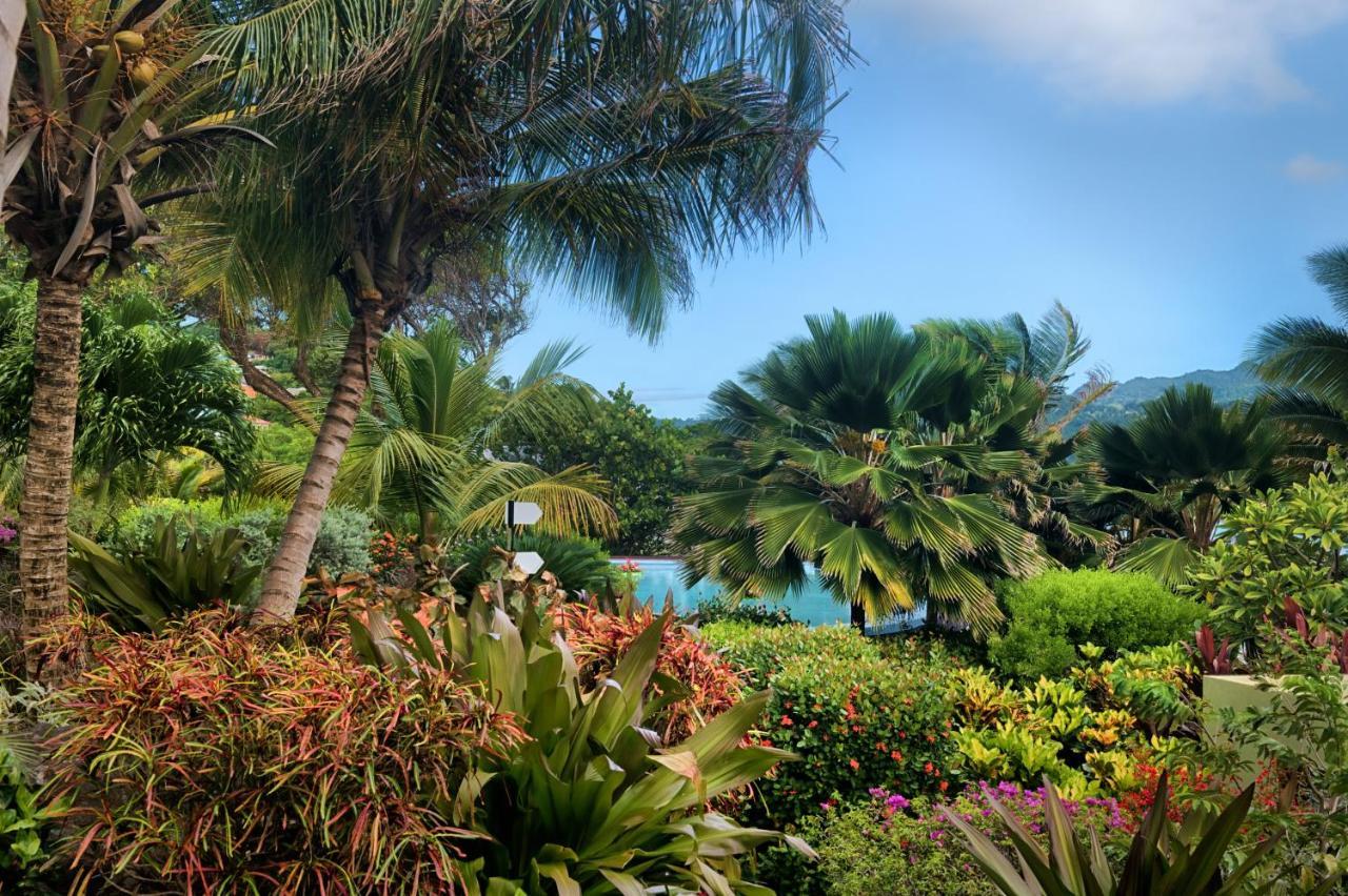 St. George's 473 Grenada Boutique Resort מראה חיצוני תמונה
